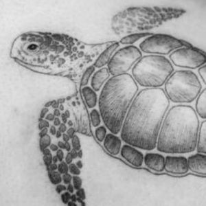 Meet your Posher, Theresa